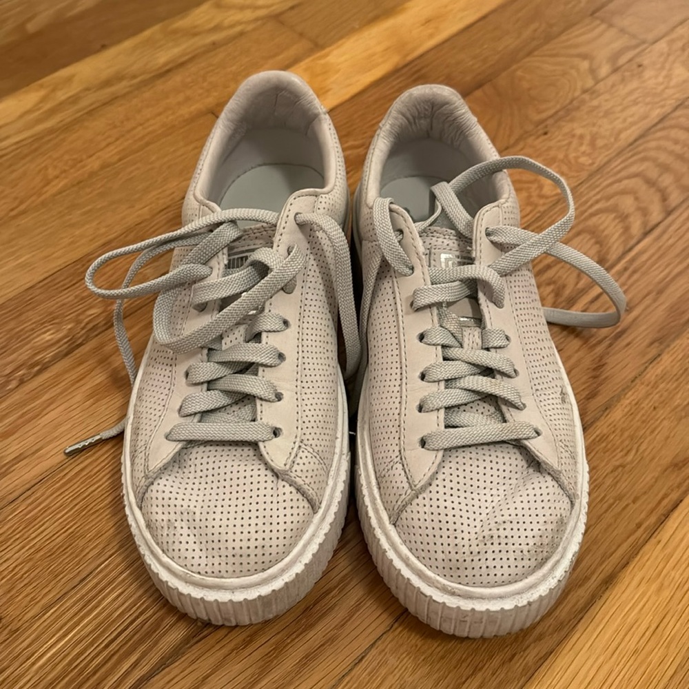 Grey pumas